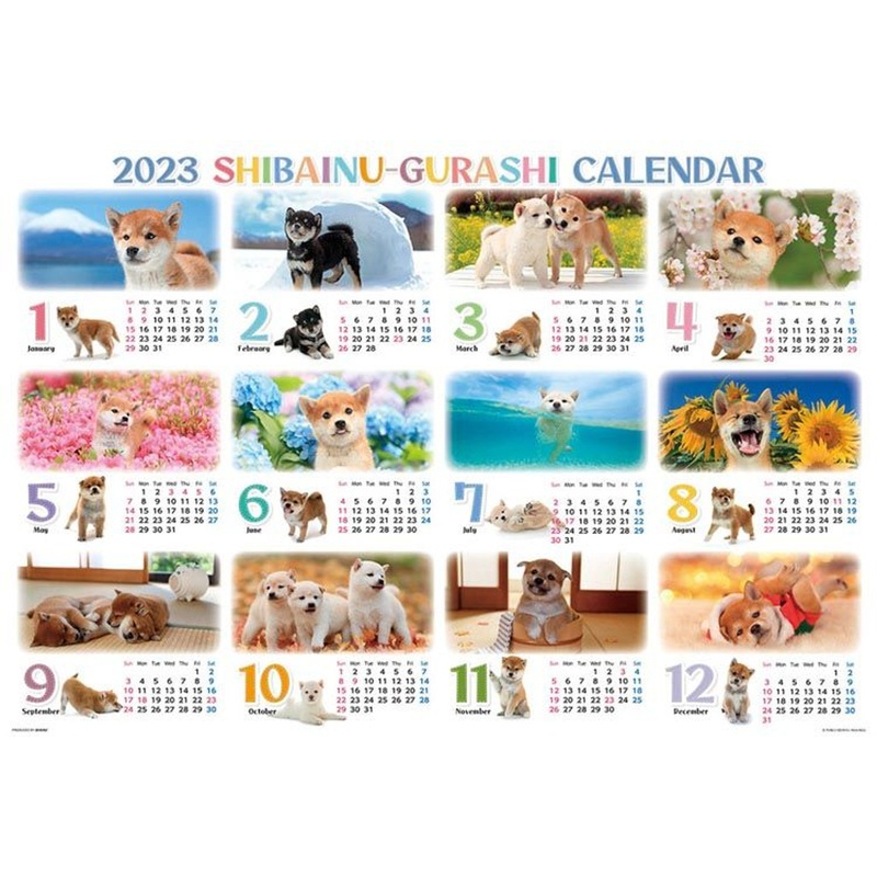 Beverly 31-542 Jigsaw Puzzle Shiba Inu Gurashi Dog Calendar 2023 (1000 Pieces)