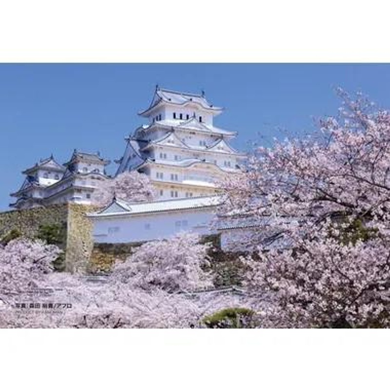 Yanoman 97-310 Prism Art Jigsaw Puzzle Cherry Blossoms Suffusing Himeji Castle (70 Pieces)