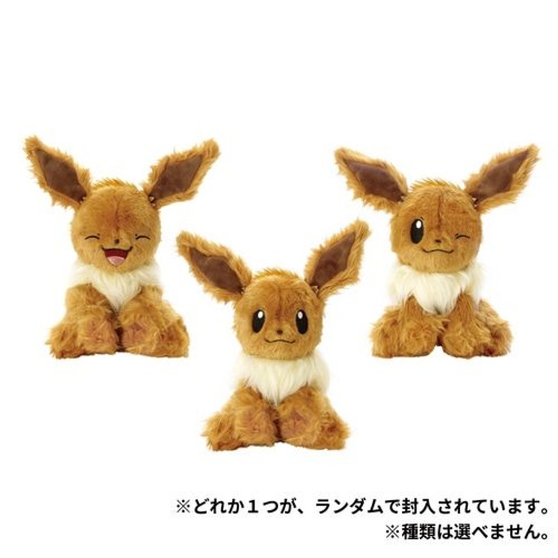 Pokemon Center Original Washable Plush Toy WHO are YOU? Eevee