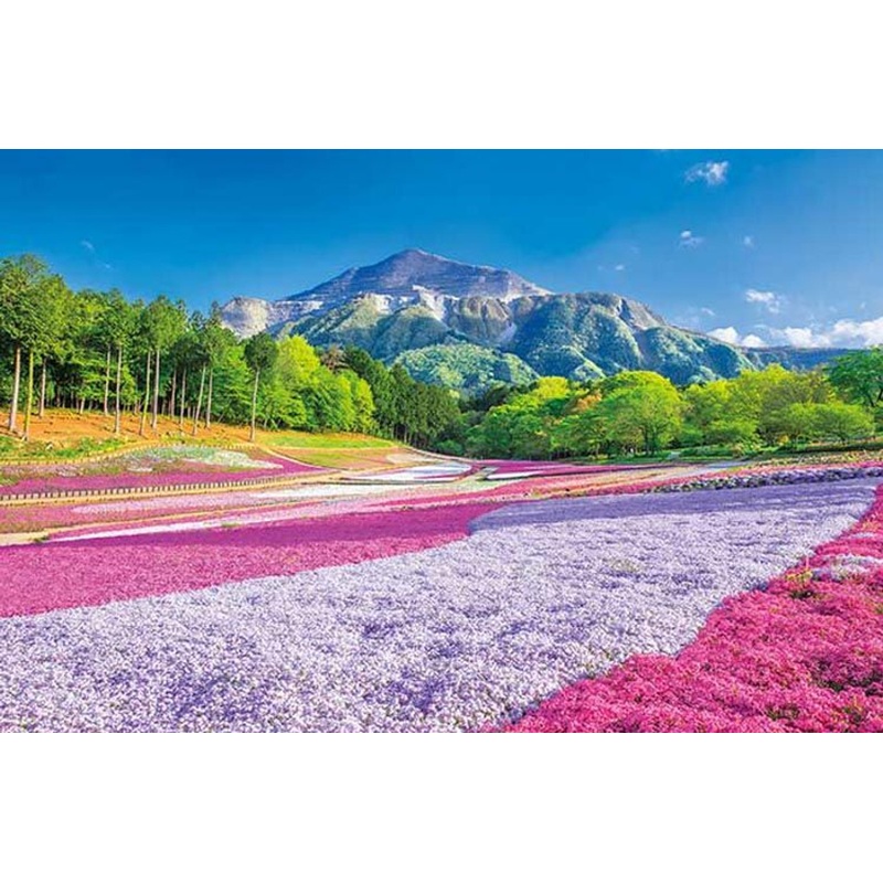 Appleone 1000-883 Jigsaw Puzzle Spring Carpet Hitsujiyama Park (1000 Pieces)