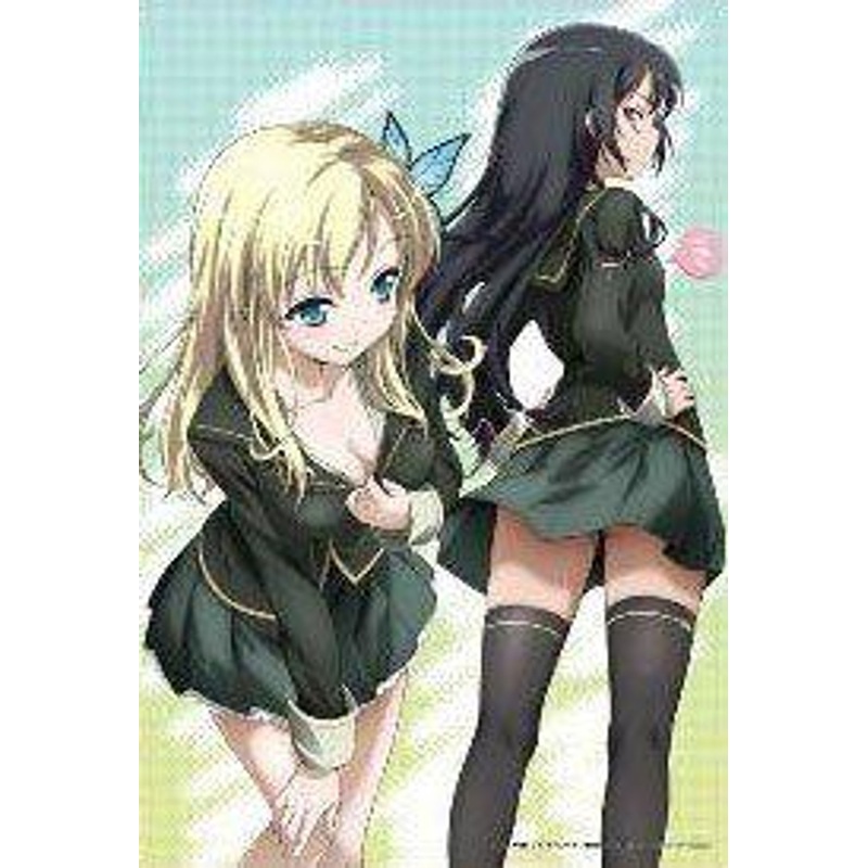 Yanoman 03-773 Jigsaw Puzzle Haganai: 2 Friends!? First Press Version (300 pcs)