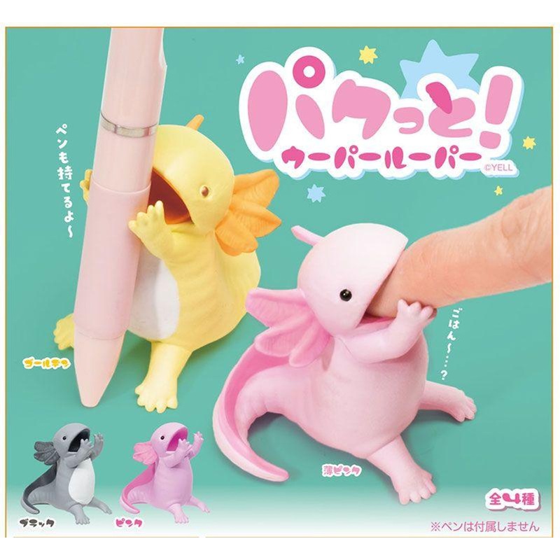 YELL Paku! Axolotl BOX (8 pcs)