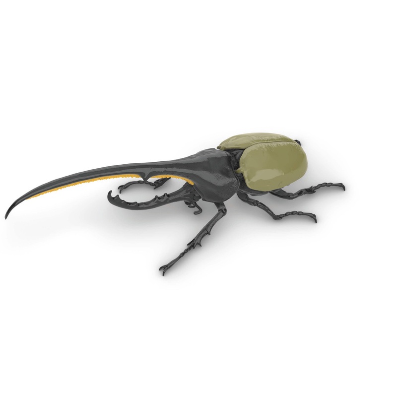 Fujimi Research Series Hercules Beetle Plastic Model