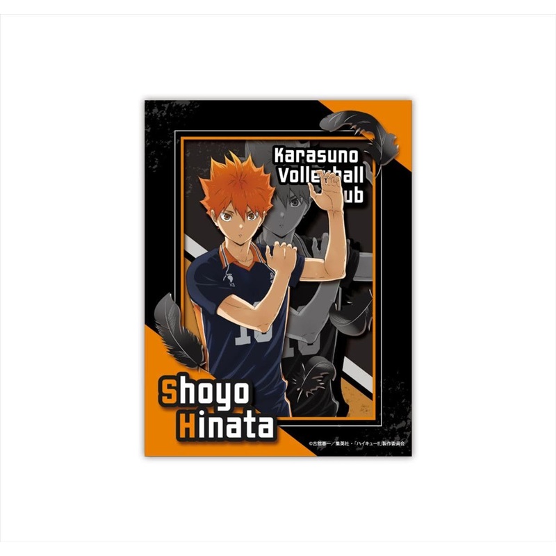 Jigsaw Puzzle  Paper Shadow Art Mini Hinata Shoyo