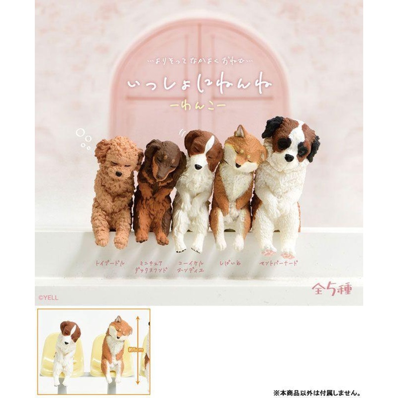 YELL Nap Time Together Doggies 10pcs BOX