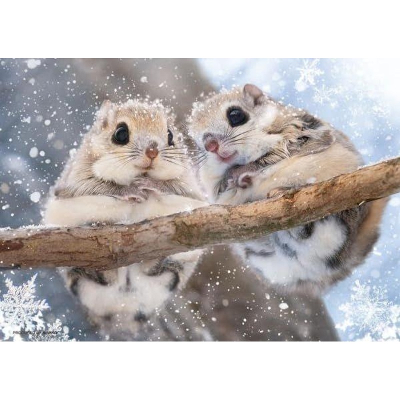 Jigsaw Puzzle Fluffy Hokkaido Flying Squirrel (108 Pieces)