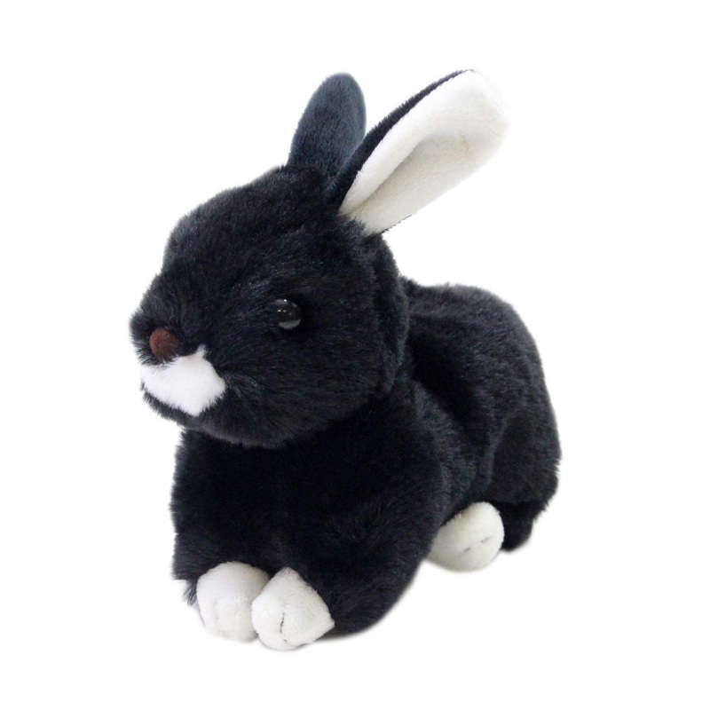 TAKE OFF Rabbit Maron Rex (Black)