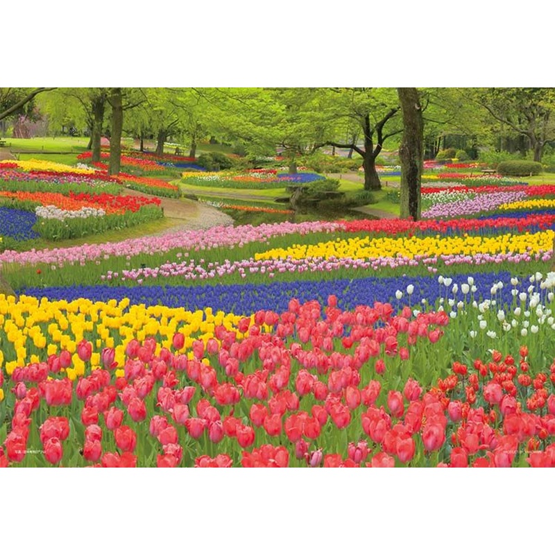 Yanoman 01-2090 Jigsaw Puzzle Hanasaki Showa Memorial Park (Tokyo) (108 Pieces)