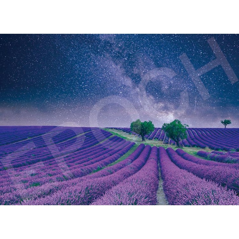 Epoch 79-485s Jigsaw Puzzle Milky Way and a Lavender Field (500 Pieces)
