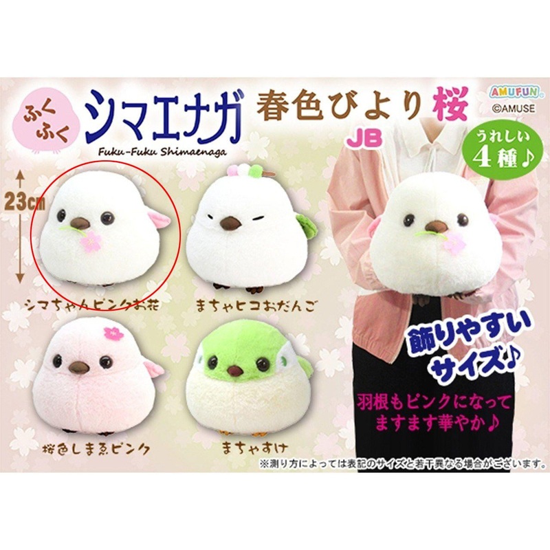 Amuse Fukufuku Shimaenaga Spring Color Biyori Sakura JB Shima-chan Pink Flower