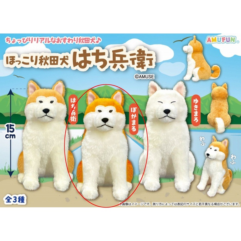 Amuse Adorable Akita Dog Hachibei Plush Poka Maru