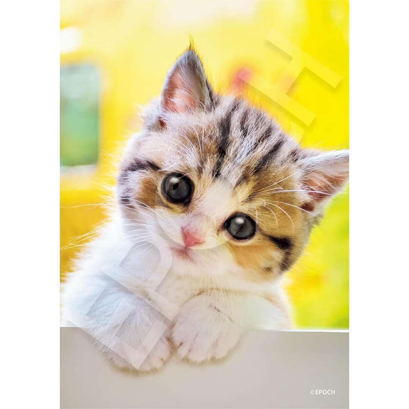 Jigsaw Puzzle Nyandaro? (I wonder what it is?) 03-096 (108 Pieces)