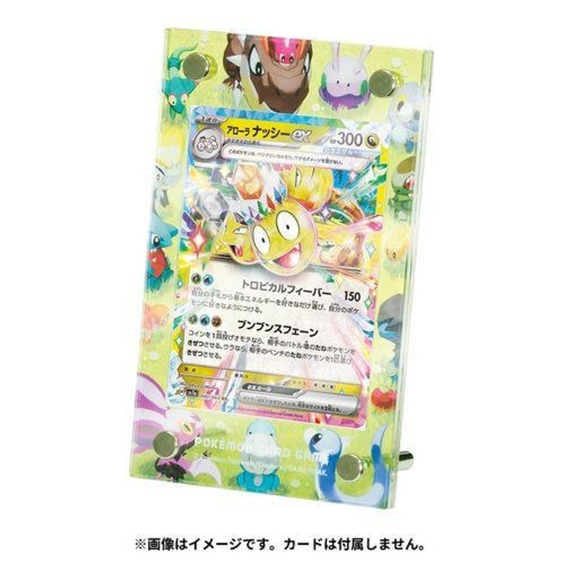 Pokemon Card Game TCG Display Frame Dragon Friends