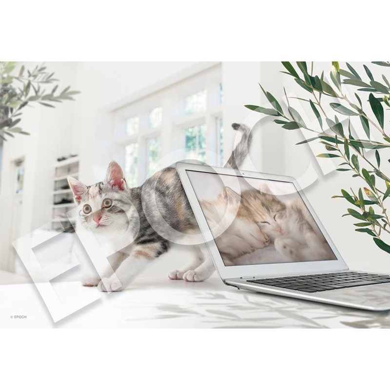 Epoch 26-370s Jigsaw Puzzle Teleworking is Over Right Meow! (300 Pieces)