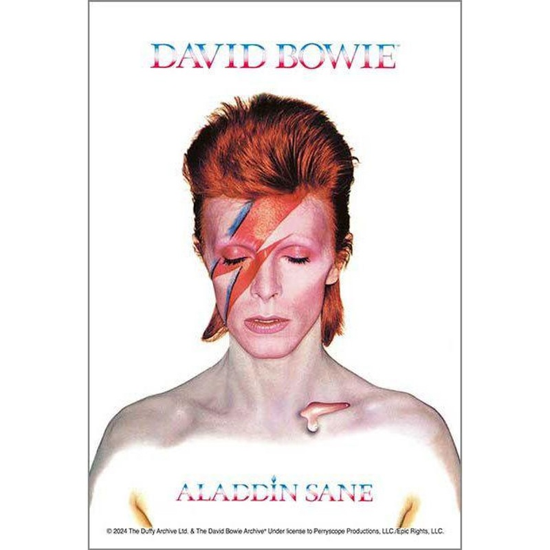 Jigsaw Puzzle BOWIE ALADDIN SANE (120 Pieces)