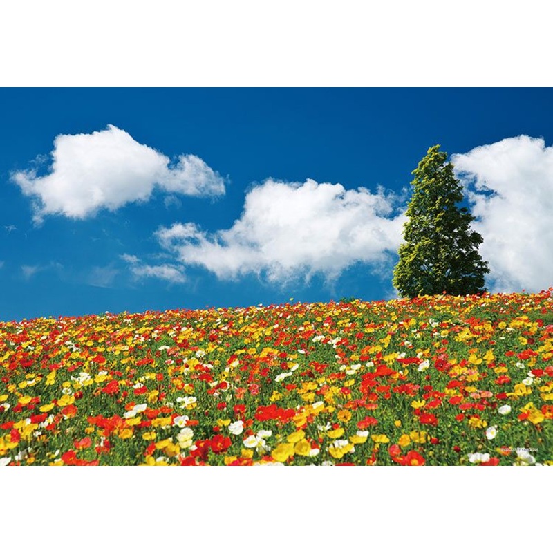 Yanoman 13-10 Jigsaw Puzzle Colorful Flower Field in Hyogo Japan (1000 S-Pieces)