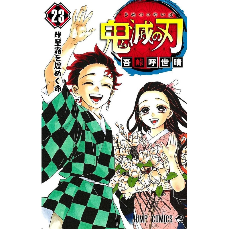 Shueisha Demon Slayer: Kimetsu no Yaiba Vol.23 (Jump Comics) Manga **Japanese Language**