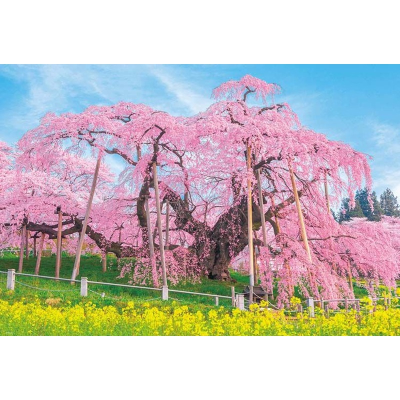 Beverly 1000-049 Jigsaw Puzzle Miharu Waterfall Cherry Blossoms (1000 Pieces)