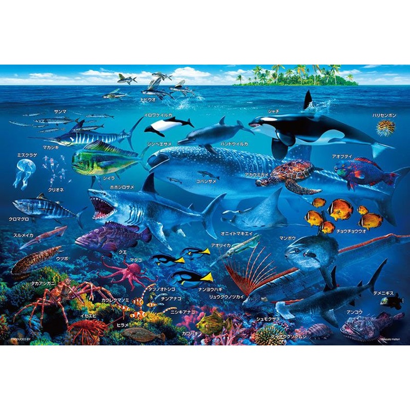Beverly 100-029 Jigsaw Puzzle Let’s Learn the Sea Animals in Japanese (100 L-Pieces)