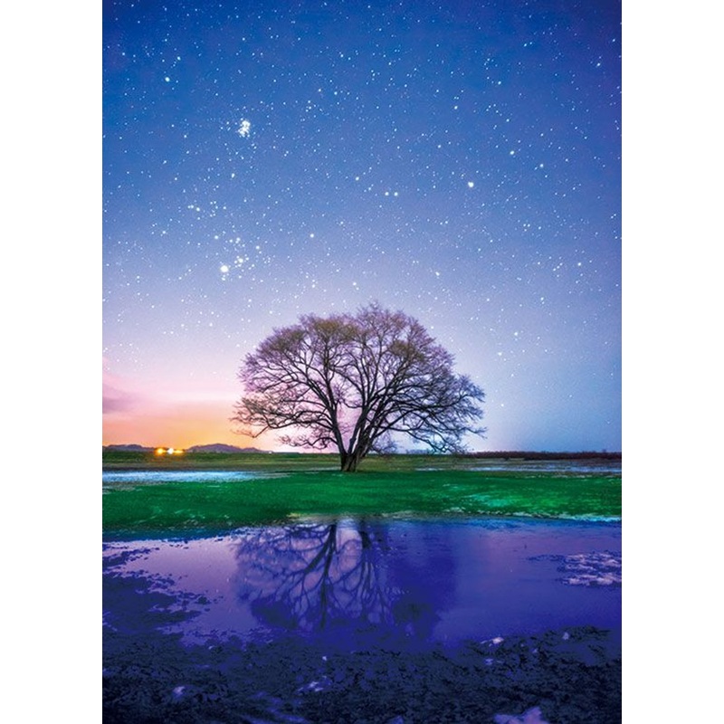 Epoch 71-809 Jigsaw Puzzle Blue World – A Lonely Tree (500 Pieces)