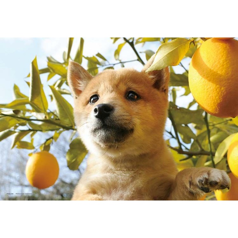 Yanoman 01-2095 Jigsaw Puzzle Sniff, Sniff! Something Smells Good! (108 Pieces)