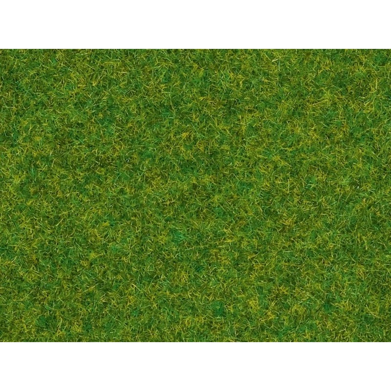 Scatter Grass Ornamental Lawn
