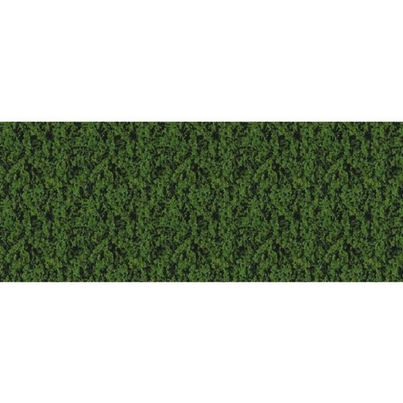 Compact Foliage Dark Green