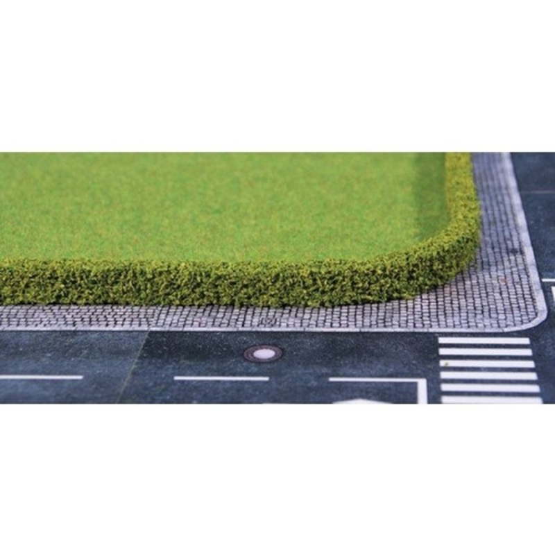 Hedging Thuja 12x7mm