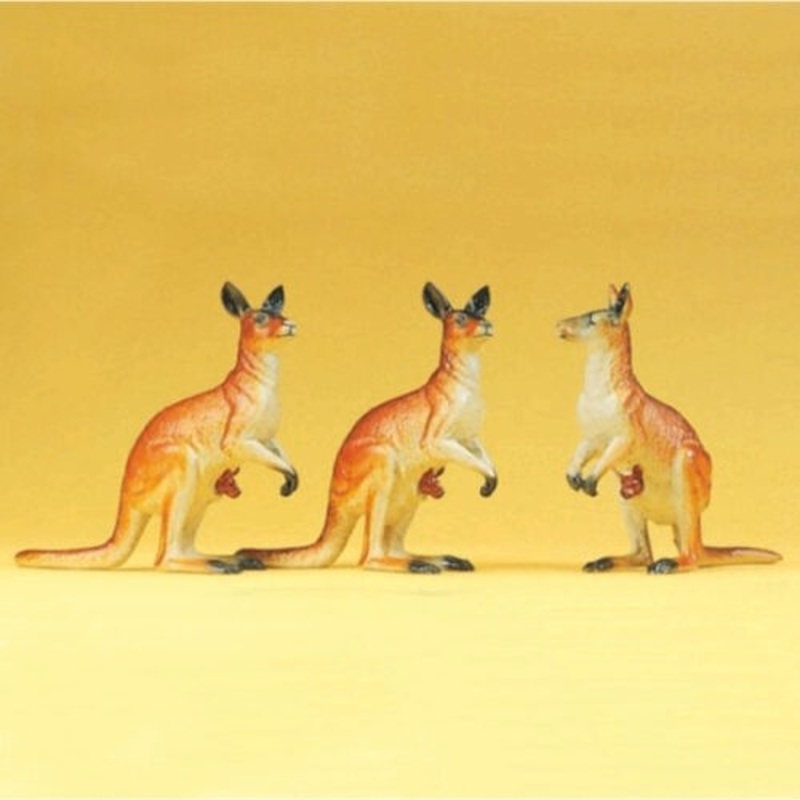 HO Kangaroos