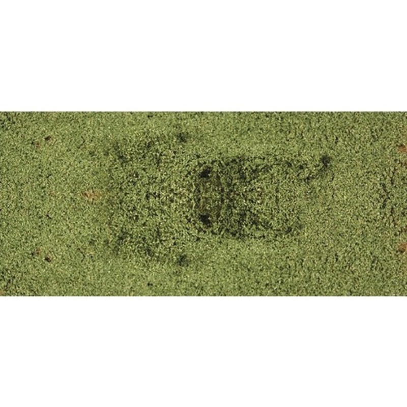 Leaf Foliage Med.Green