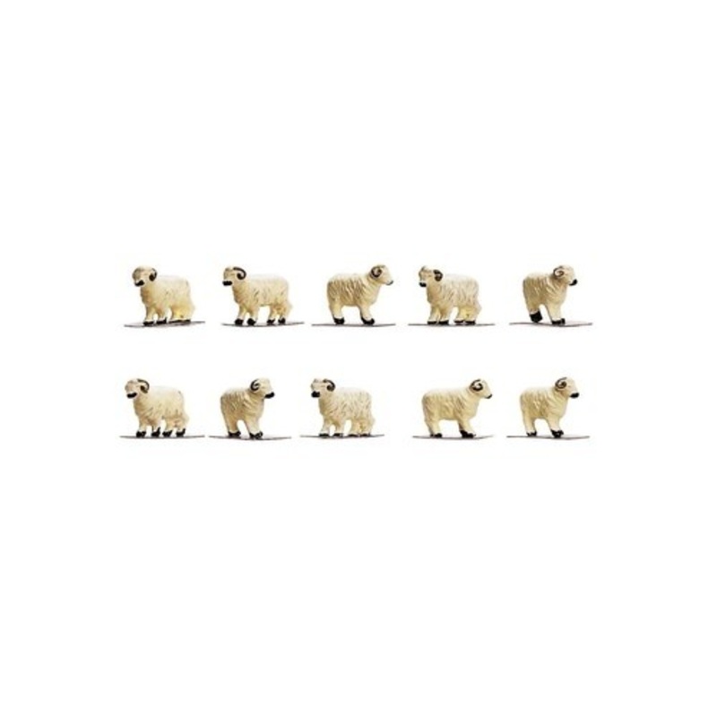 OO Sheep