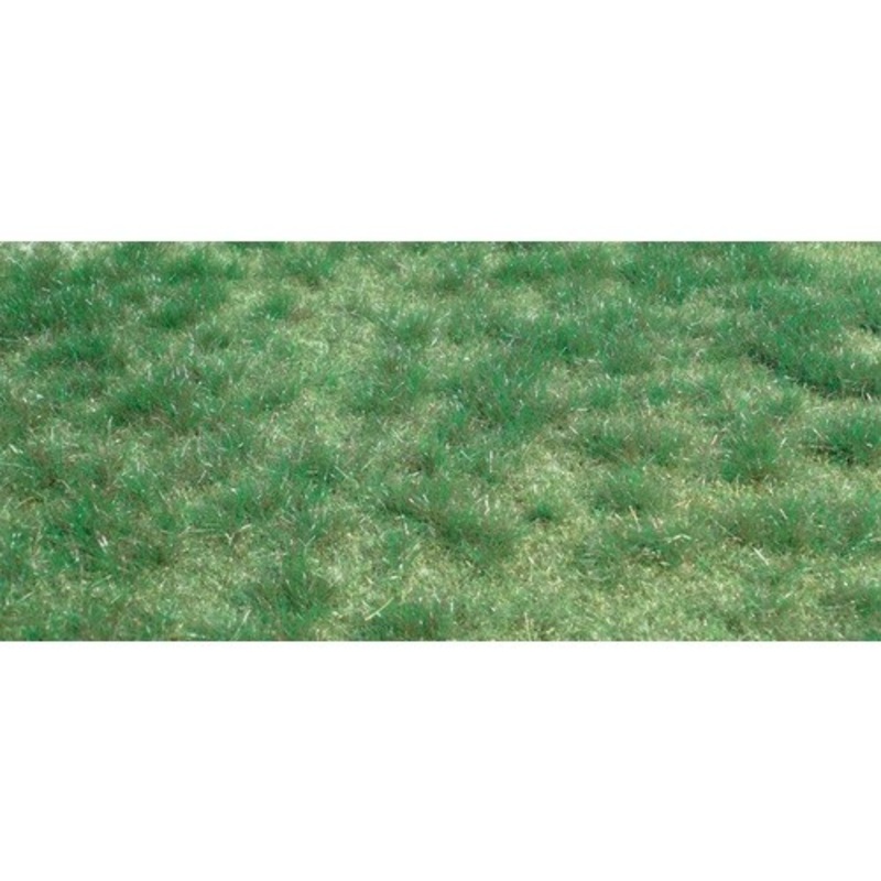 Wild Grass Moorland Green