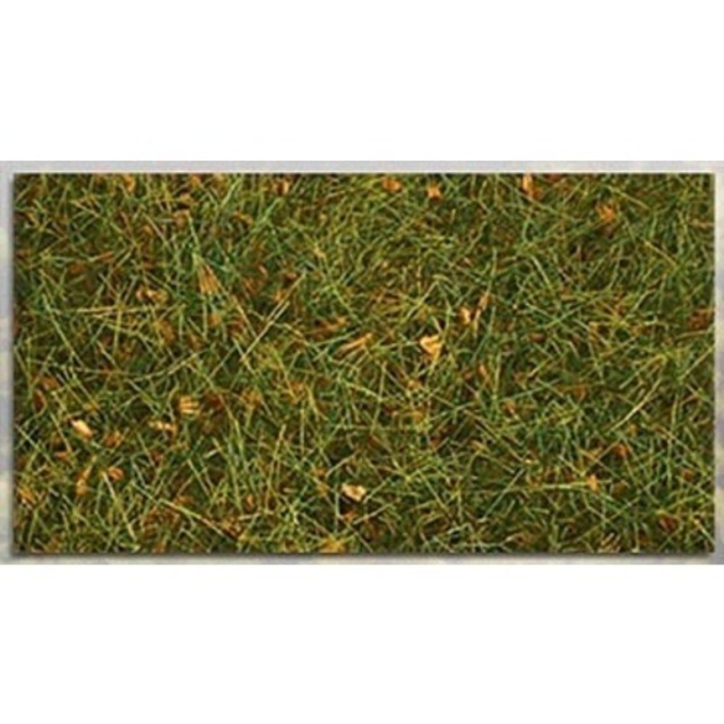 Wild Grass Mountain Meadow