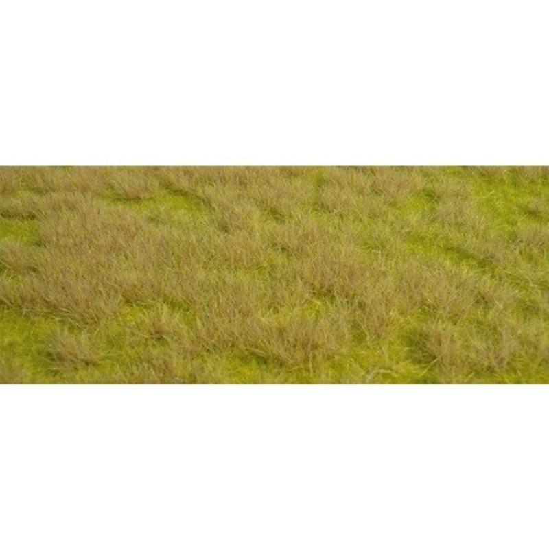 Wild Grass Savanna