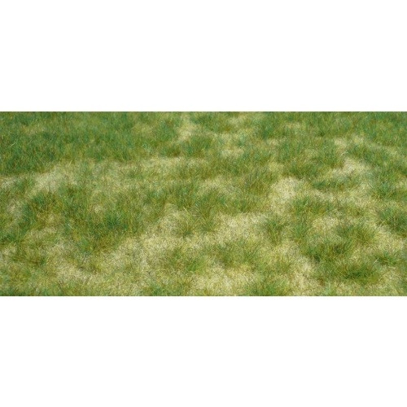 Wild Grass Summer Green