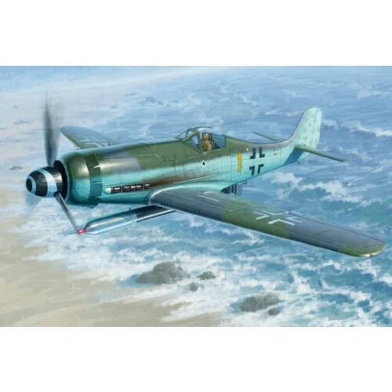 1:48 Focke-Wulf Fw190D