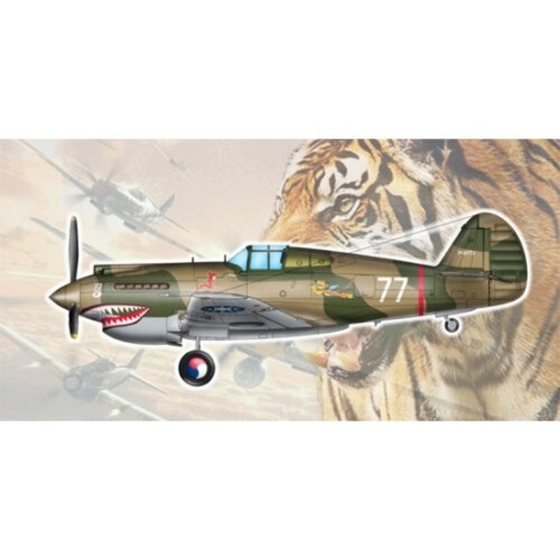 1:48 Hawk H-81A-2 (AVG)